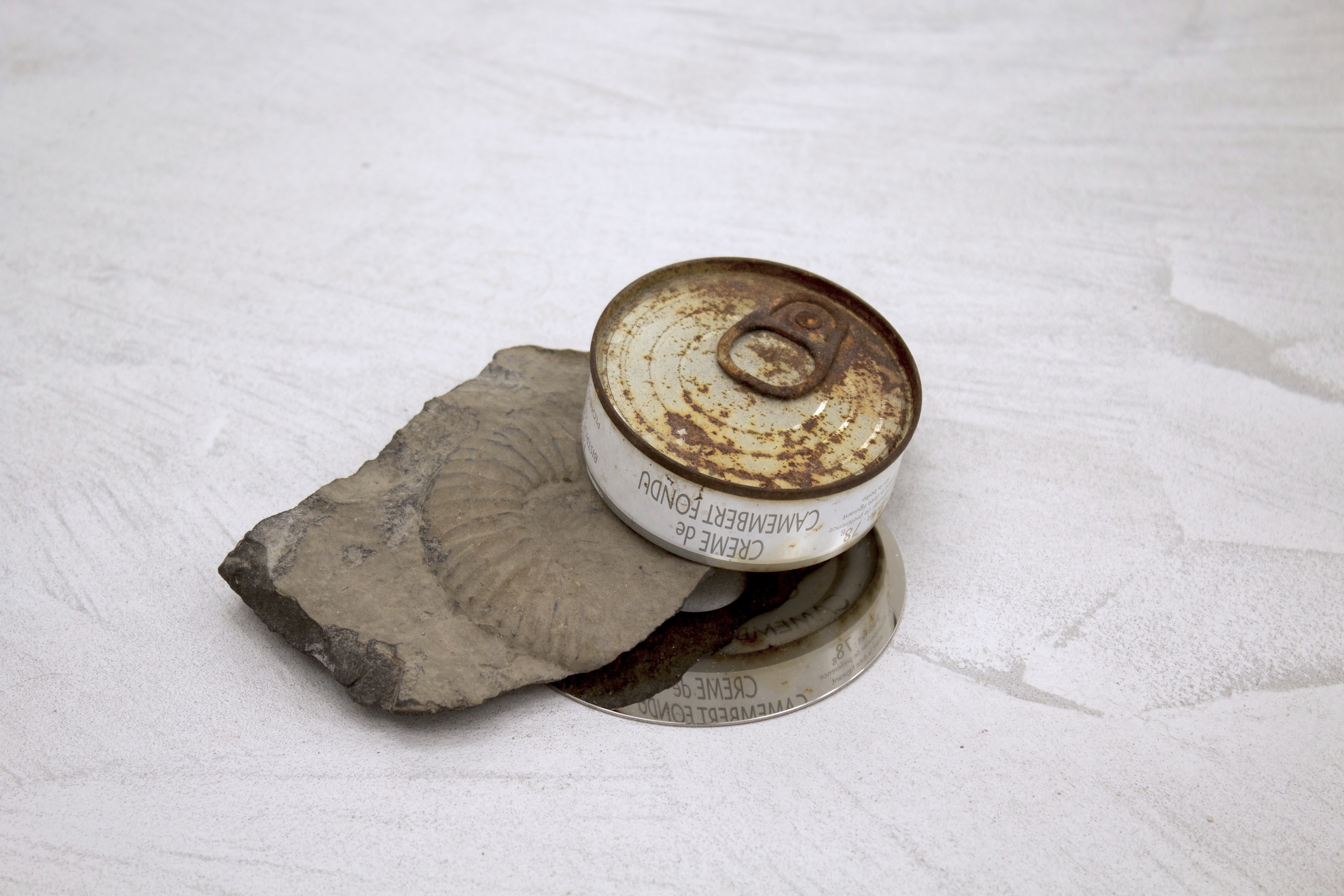 IMG_1356 - copie.jpg