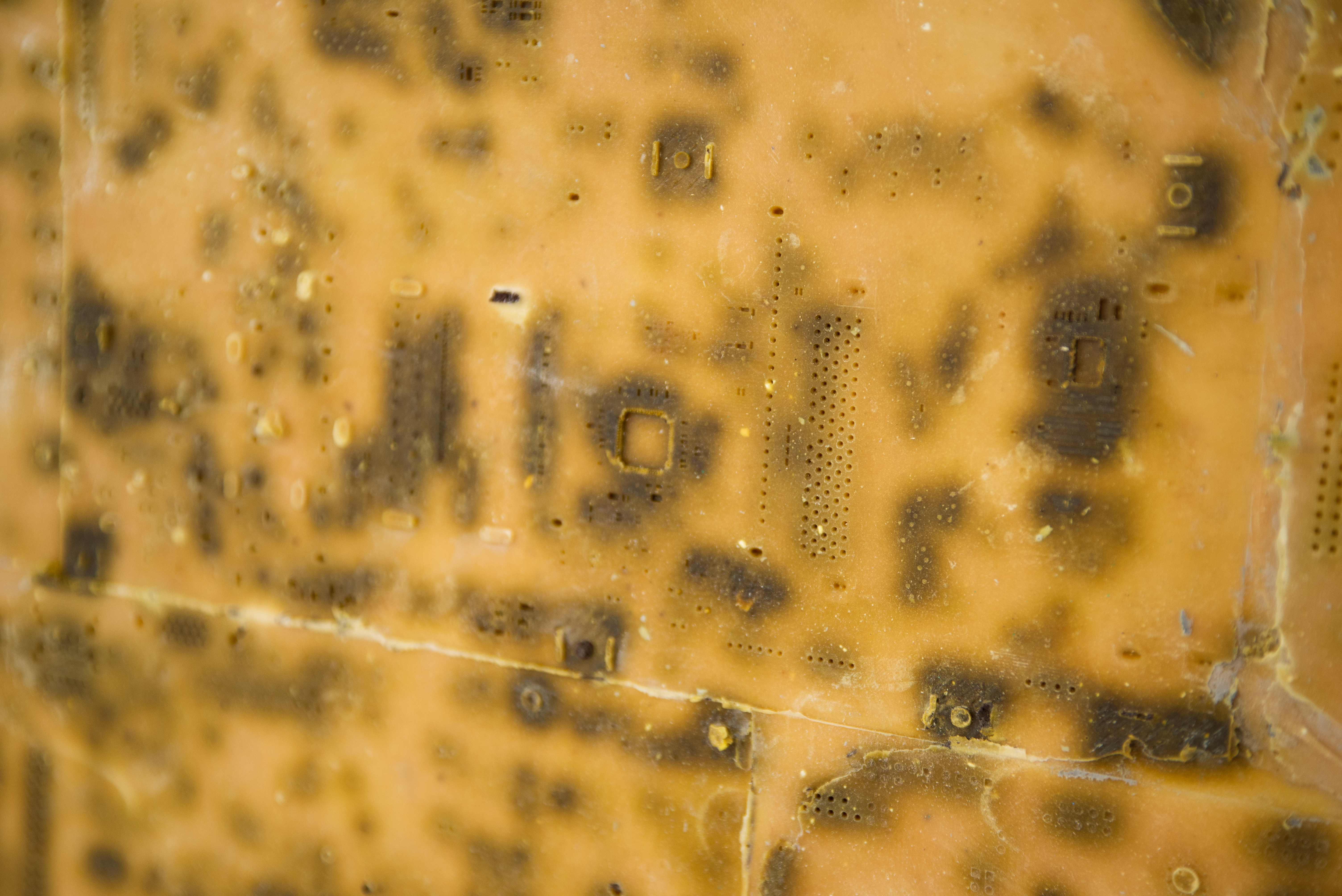 SCEP - JPEG (600DPI)-60