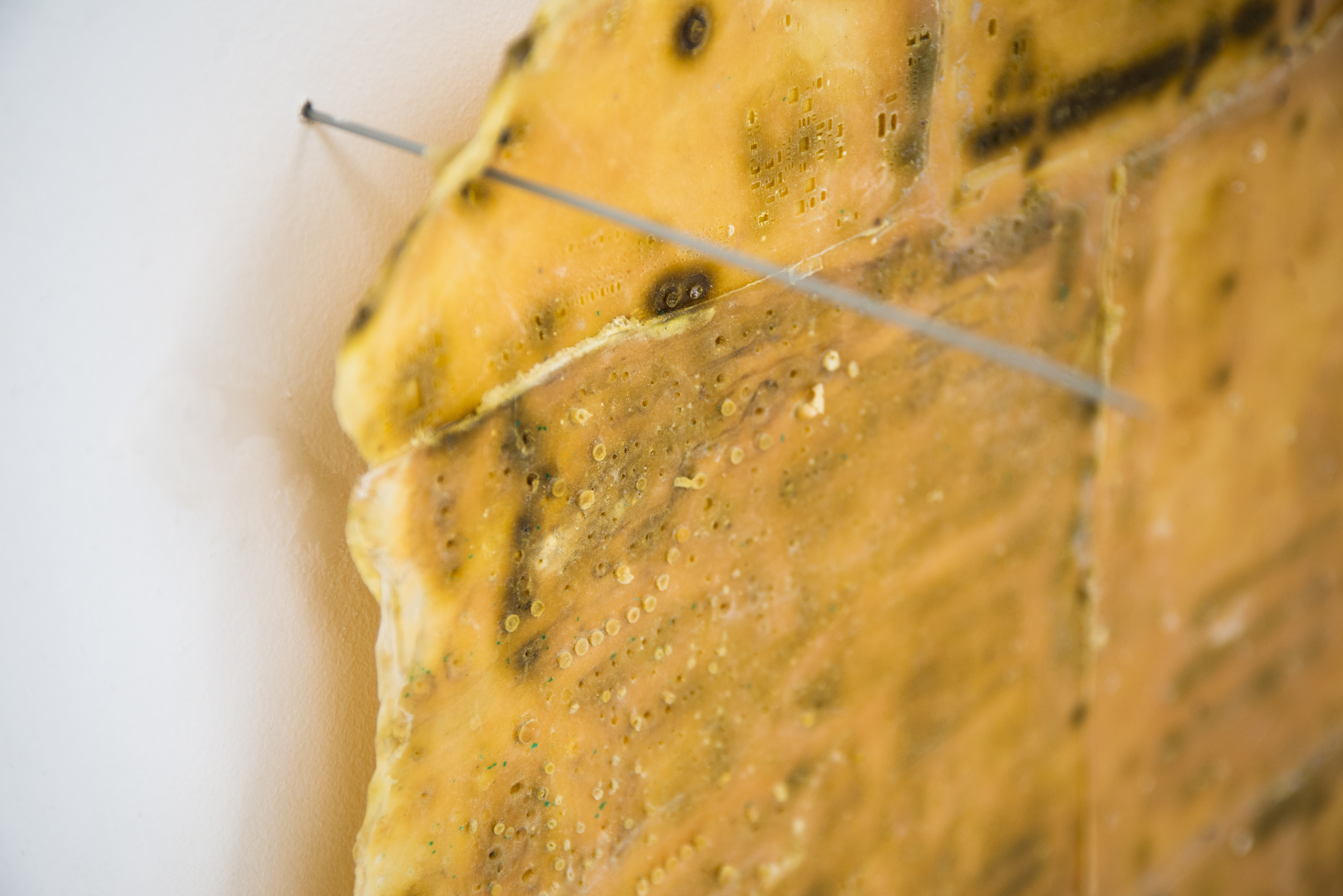 SCEP - JPEG (600DPI)-61