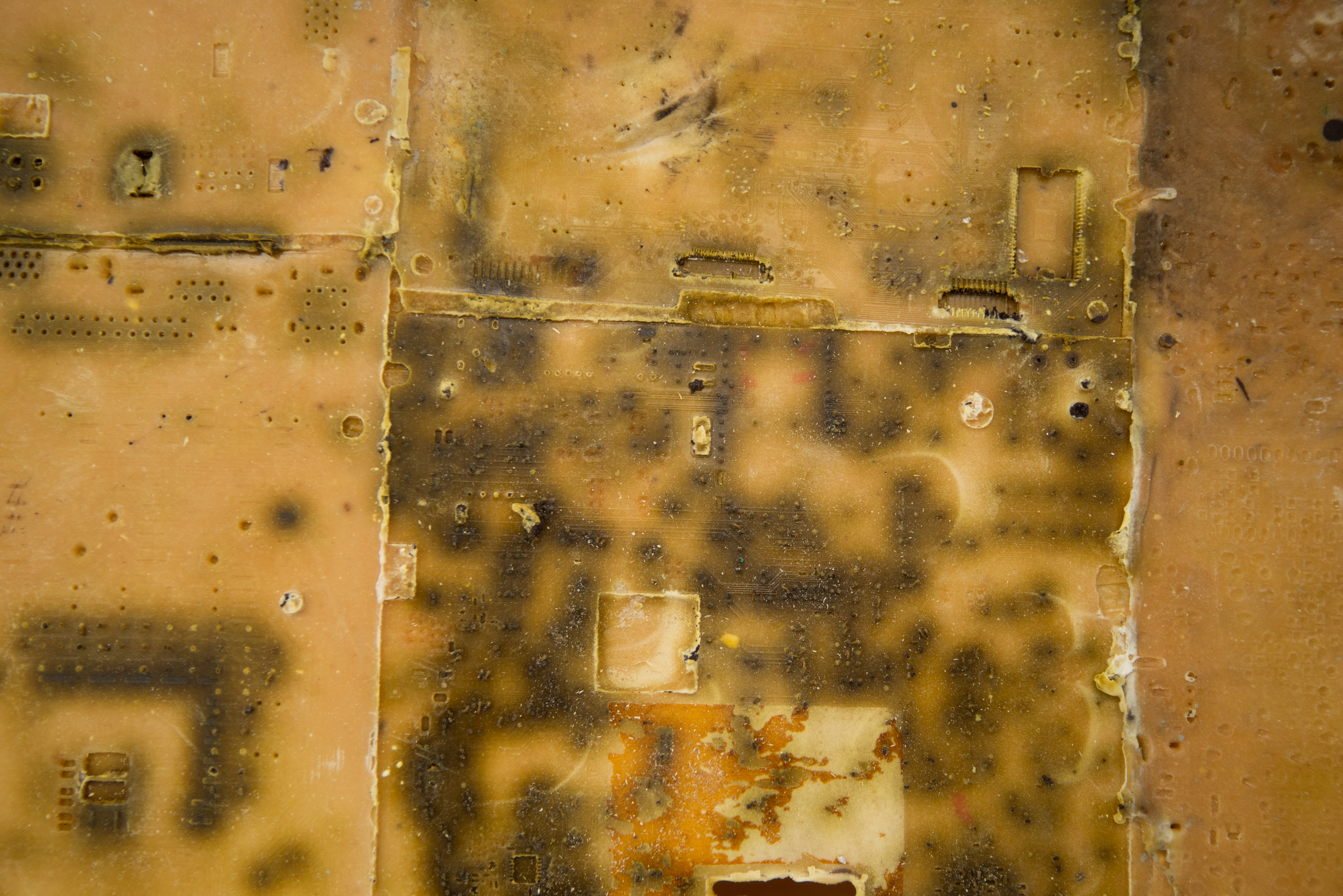 SCEP - JPEG (600DPI)-64